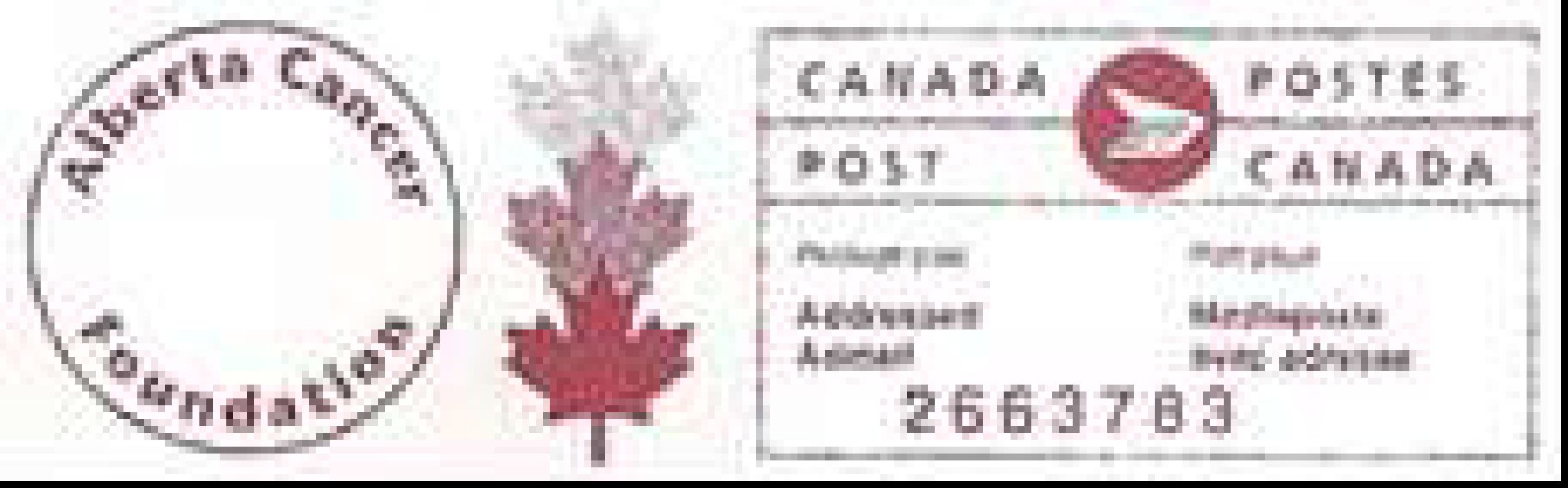 Illustrated permit forerunners